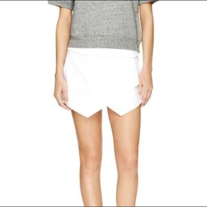 Aritzia Berkeley Skort